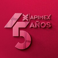 APIMEX logo - Similar company to Herpro Inoxidable
