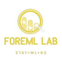 ForeML Lab logo - Similar company to Cheenta Statistics And Data Science