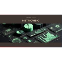 Metricvisio logo - Similar company to Metricvision