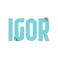 igor logo - Similar company to Turzoom