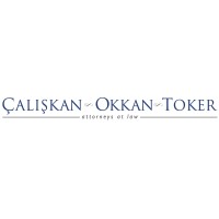 Çalışkan Okkan Toker logo - Similar company to Microtale Games