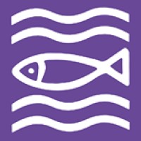 Evangelische Schulstiftung in der EKBO logo - Similar company to The Constitute
