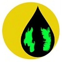 Zanzibar Petroleum Regulatory Authority logo - Similar company to Moyes