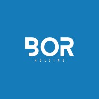 Bor Holding logo - Similar company to Strategypeer Consulting Mentoring Facilitating Coaching