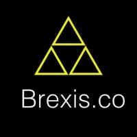 Brexis.co logo - Similar company to Brexit Partners