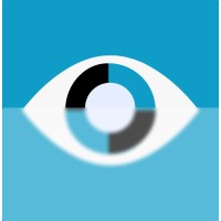 Sintetizo logo - Similar company to Ixda Belo Horizonte