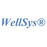 WellSys® logo - Similar company to Webspiders Private Limited.