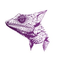 GECKO_EU logo - Similar company to Pyg Design Studio