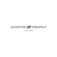 Quantum Strategy Partners logo - Similar company to Rbf Capital Llc