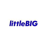 littleBIG logo - Similar company to Rezn8