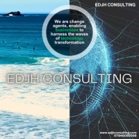 EDJH Consulting logo - Similar company to Embracent
