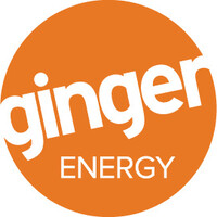 Ginger Energy logo - Similar company to Data Energy