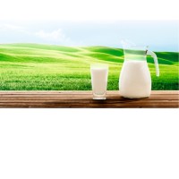 Milkavita logo - Similar company to Primemilk Llc
