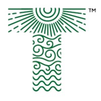Tensor Dynamics logo - Similar company to Tensor Dynamics