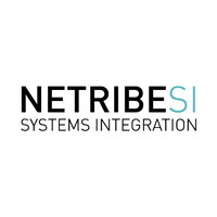 Netribe Systems Integration S.r.l. logo - Similar company to Netribe Group