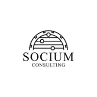 Socium Consulting logo - Similar company to Scholium Technologies