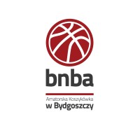 Liga BNBA logo - Similar company to Grupa Proxeon -Wdrażamy Szkolenia E-Learningowe