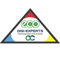 Digital Ecoseoexperts LLP logo - Similar company to Moin Digital Services