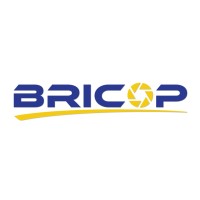 Bricop logo - Similar company to Experio