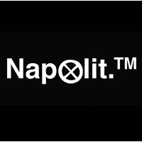 NAPOLIT TM logo - Similar company to Embermind Technologies