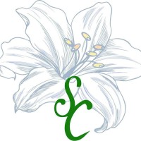 Poliambulatorio Santa Chiara logo - Similar company to Clemathis Official