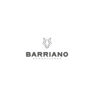 CONSULTORIAS BARRIANO SAS logo - Similar company to Bleisor Solution S.A.S