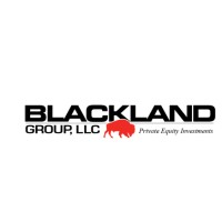 Blackland Group, LLC logo - Similar company to George Group