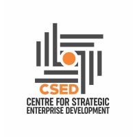 Center For Strategic Enterprise Development (CSED) logo - Similar company to De Whales Organization Inc