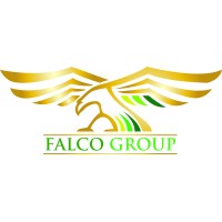 Falco Group logo - Similar company to The Ingenious Group