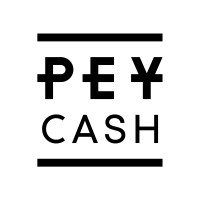 PEY.cash logo - Similar company to Web3Vision