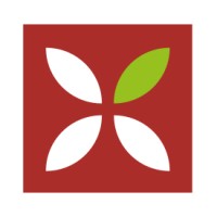 LIGHT SCIENTISTS logo - Similar company to Vdip