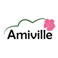 ASSOCIATION AMIVILLE logo - Similar company to Vp