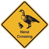 Nene Crossing Holding logo - Similar company to Olympify Ltd.