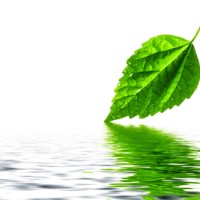 James Environmental Management, Inc. logo - Similar company to James Environmental Management