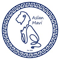 ASLAN MAVI Cities & Cultures of the World ‐ Sustainability Consulting logo - Similar company to Fries And Bites