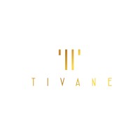 Tivane Investments logo - Similar company to Carbondatasolutions.Com