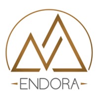 ENDORA GROUP logo - Similar company to Milyar Group