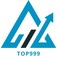 Top999 Consulting logo - Similar company to Standup