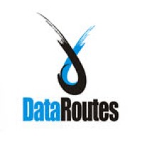 (Closed) DataRoutes Research Services logo - Similar company to M-Son Ip