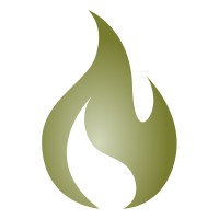 Pejsen logo - Similar company to Aceservice Technologies, Inc.