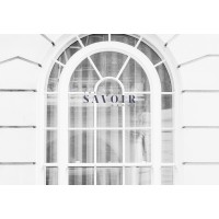 The Savoir Group logo - Similar company to Sevoir Group