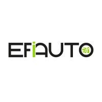 EFIAUTO logo - Similar company to Electronicacar