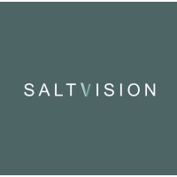 SaltVision logo - Similar company to Vertex Studio