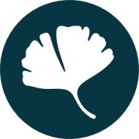 bajomi analytics logo - Similar company to Steuerbot