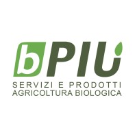 BIEMME SRL - BPIU logo - Similar company to Ecopallets S.R.L.