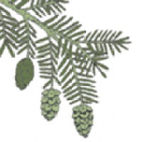 Patrick White for State Rep logo - Similar company to Patrick White