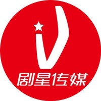 上海剧星传媒股份有限公司 logo - Similar company to Vision Star