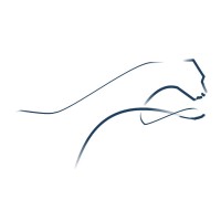 ITNOVATION. logo - Similar company to The Dev Talk Show