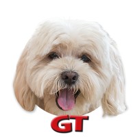 Game Trucks GT logo - Similar company to Boris Walks Alone Art Inc.