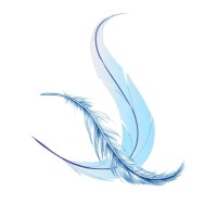 The Softline Export Karur logo - Similar company to B.S. Apparels
